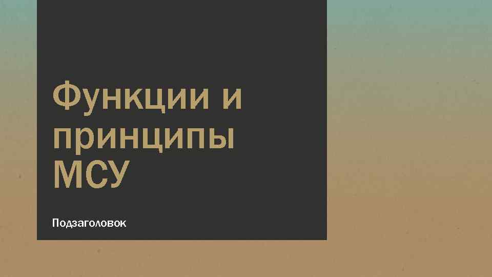 Функции и принципы МСУ Подзаголовок 