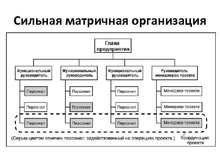 Сильная матричная организация 