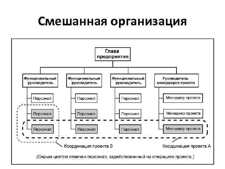 Смешанная организация 