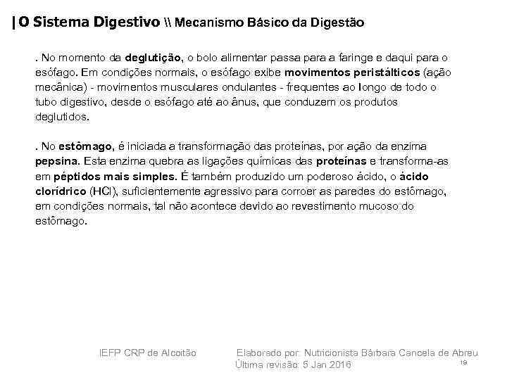 |O Sistema Digestivo \ Mecanismo Básico da Digestão. No momento da deglutição, o bolo