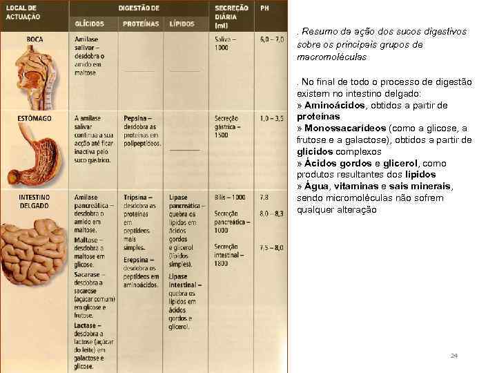 . Resumo da ação dos sucos digestivos sobre os principais grupos de macromoléculas. No