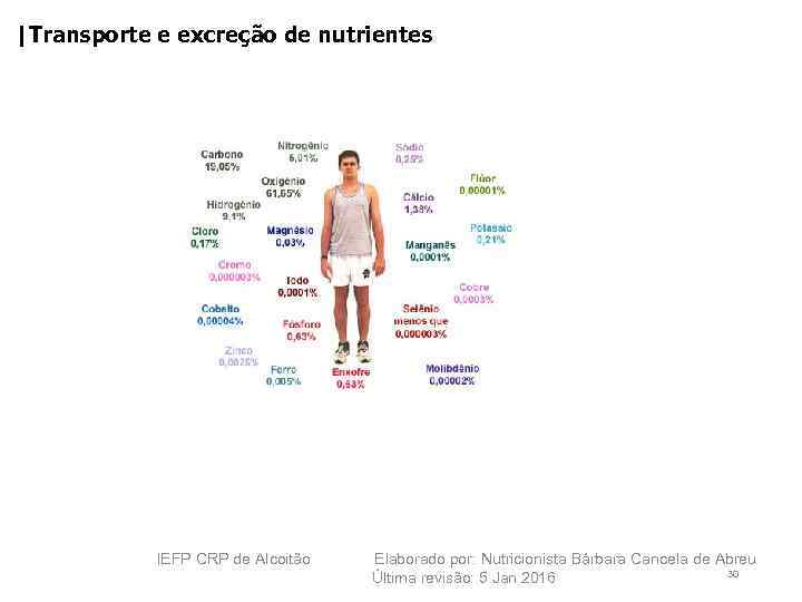 |Transporte e excreção de nutrientes IEFP CRP de Alcoitão Elaborado por: Nutricionista Bárbara Cancela