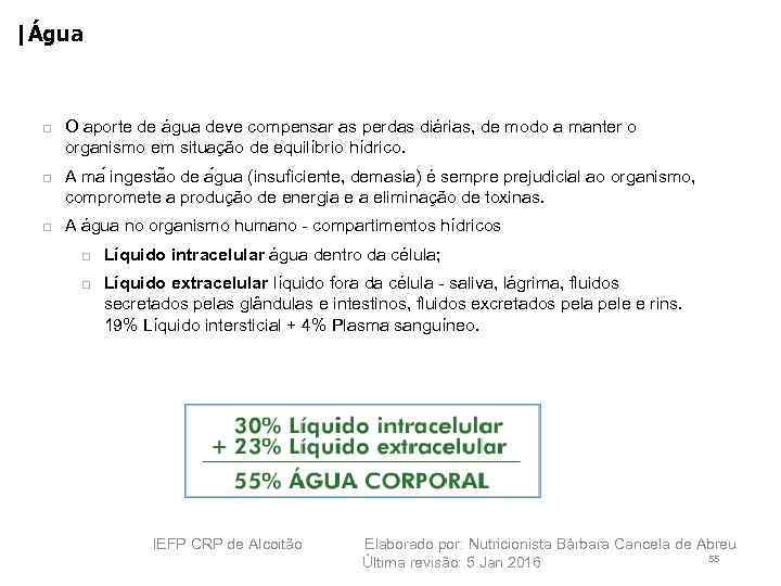 |Água O aporte de água deve compensar as perdas diárias, de modo a manter
