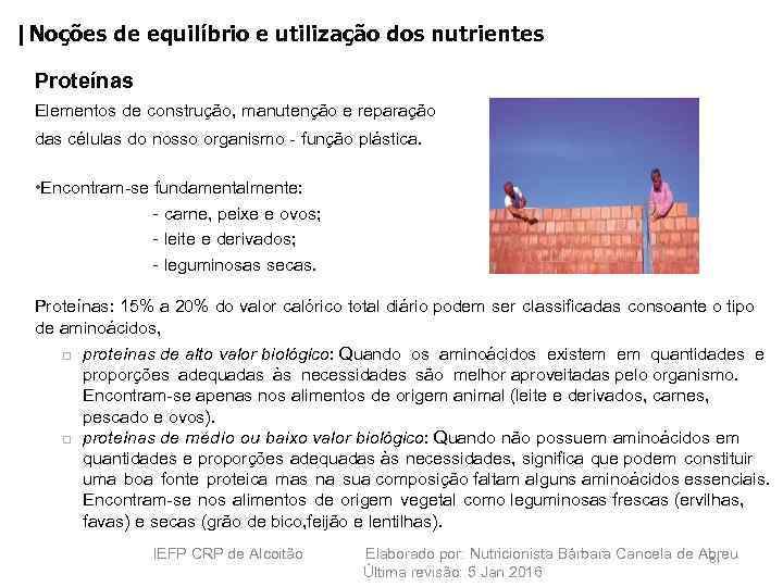 |Noções de equilíbrio e utilização dos nutrientes Proteínas Elementos de construção, manutenção e reparação