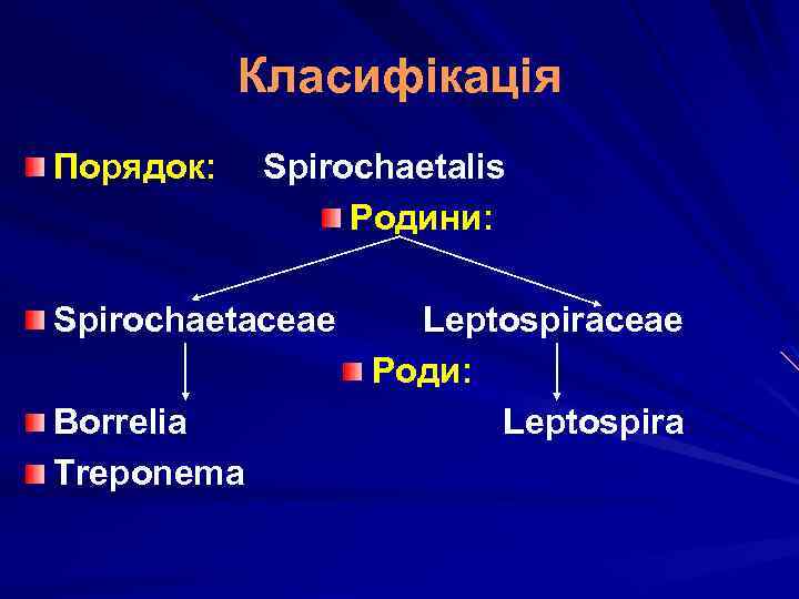 Класифікація Порядок: Spirochaetalis Родини: Spirochaetaceae Borrelia Treponema Leptospiraceae Роди: Leptospira 