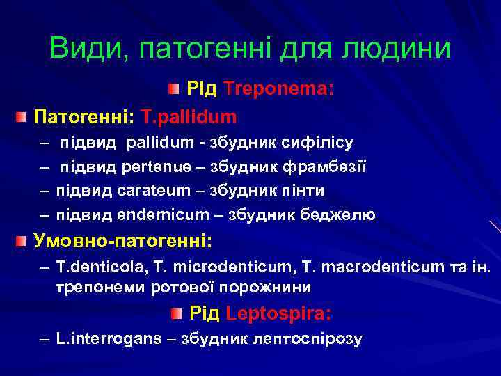 Види, патогенні для людини Рід Treponema: Патогенні: T. pallidum – – підвид pallidum -