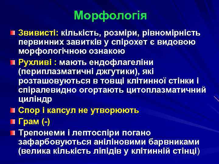Морфологія Звивисті: кількість, розміри, рівномірність первинних завитків у спірохет є видовою морфологічною ознакою Рухливі