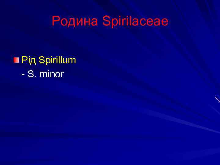 Родина Spirilaceae Рід Spirillum - S. minor 
