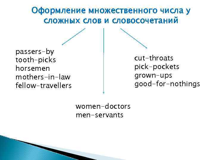 Tooth множественное число. Mother-in-Law множественное число. Словосочетание во множественном числе.