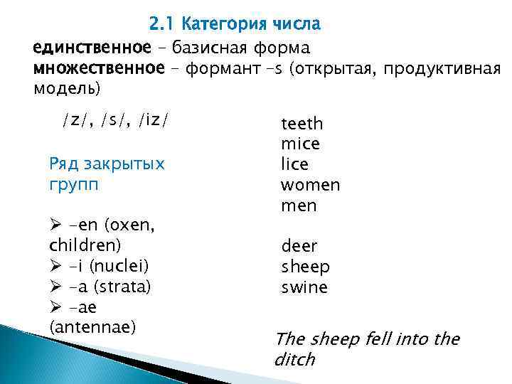 2. 1 Категория числа единственное – базисная форма множественное – формант –s (открытая, продуктивная