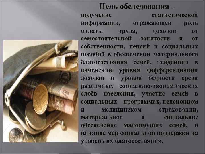 Цель обследования – получение статистической информации, отражающей роль оплаты труда, доходов от самостоятельной занятости