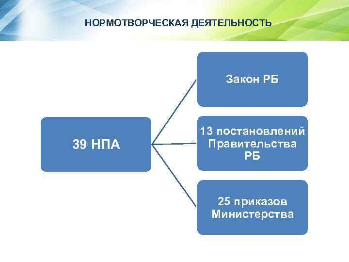 НОРМОТВОРЧЕСКАЯ ДЕЯТЕЛЬНОСТЬ Закон РБ 39 НПА 13 постановлений Правительства РБ 25 приказов Министерства 