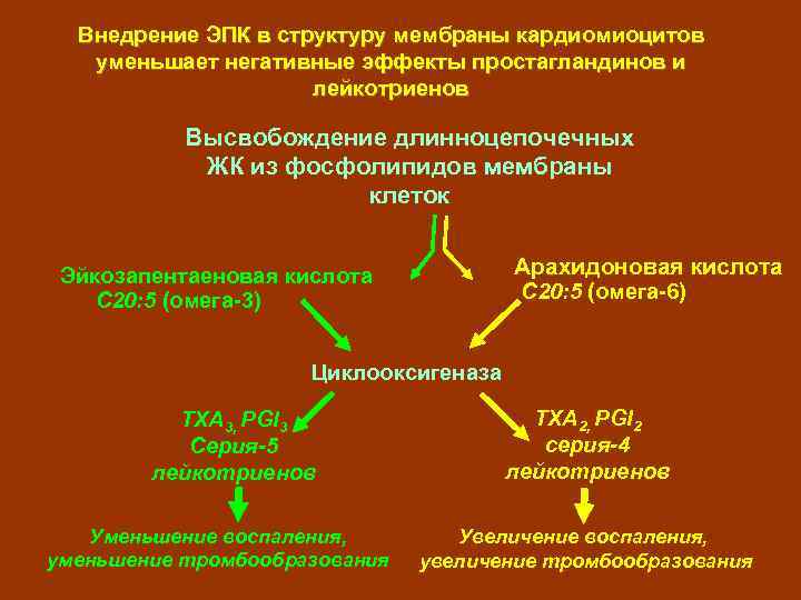 Внедрение ЭПК в структуру мембраны кардиомиоцитов уменьшает негативные эффекты простагландинов и лейкотриенов Высвобождение длинноцепочечных