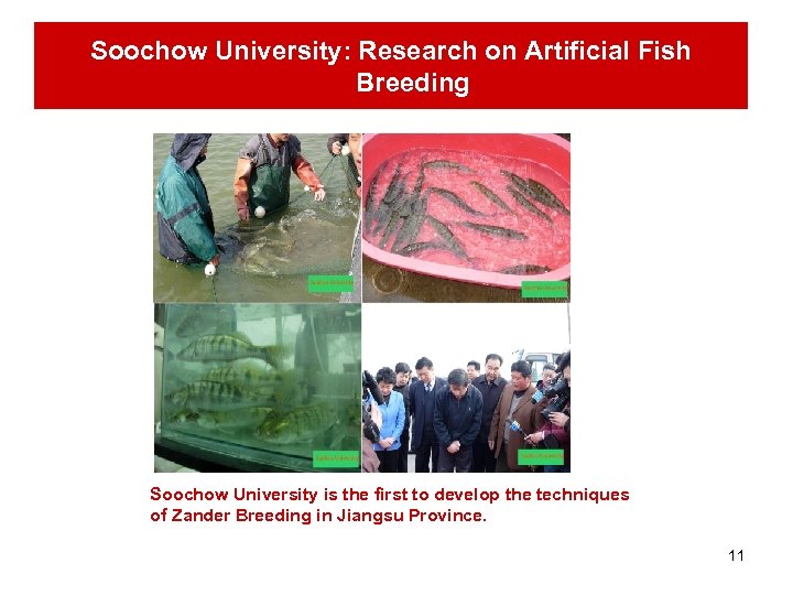 Soochow University: Research on Artificial Fish Breeding Soochow University is the first to develop