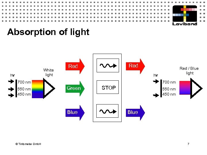 Absorption of light White light h Red h 700 nm 550 nm 450 nm