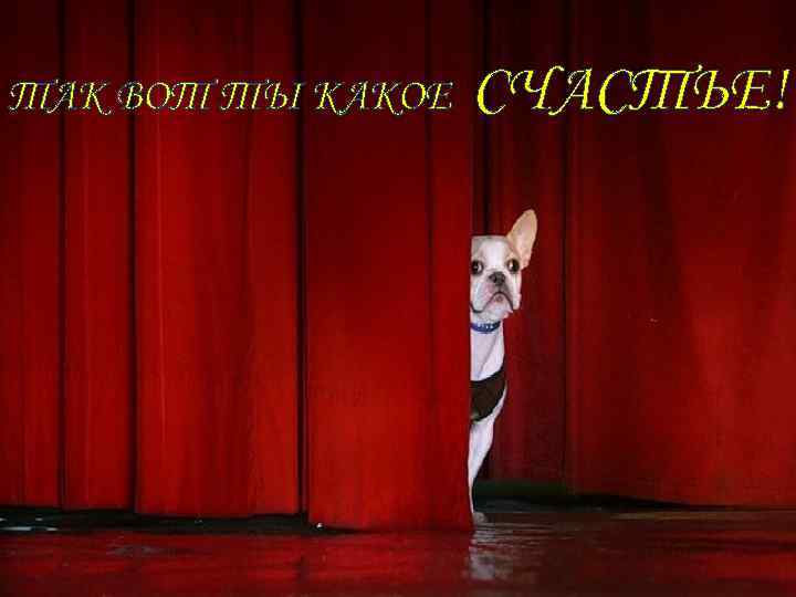 ТАК ВОТ ТЫ КАКОЕ СЧАСТЬЕ! 