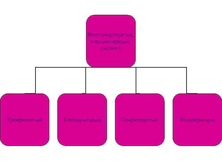 Фолликулярлық жаушалардың қызметі Трофикалық Тосқауылдық Секреторлық Эндокриндік 