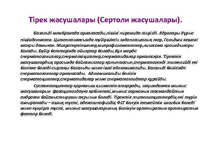 Тірек жасушалары (Сертоли жасушалары). Базальді мембранада орналасады, пішіні пирамида тәрізді. Ядролары дұрыс пішінделмеген. Цитоплазмасында