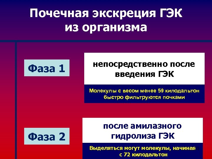 Почечная экскреция ГЭК из организма Фаза 1 непосредственно после введения ГЭК Молекулы с весом