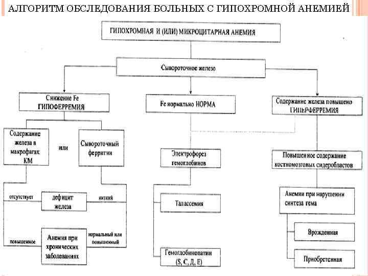 АЛГОРИТМ ОБСЛЕДОВАНИЯ БОЛЬНЫХ С ГИПОХРОМНОЙ АНЕМИЕЙ 