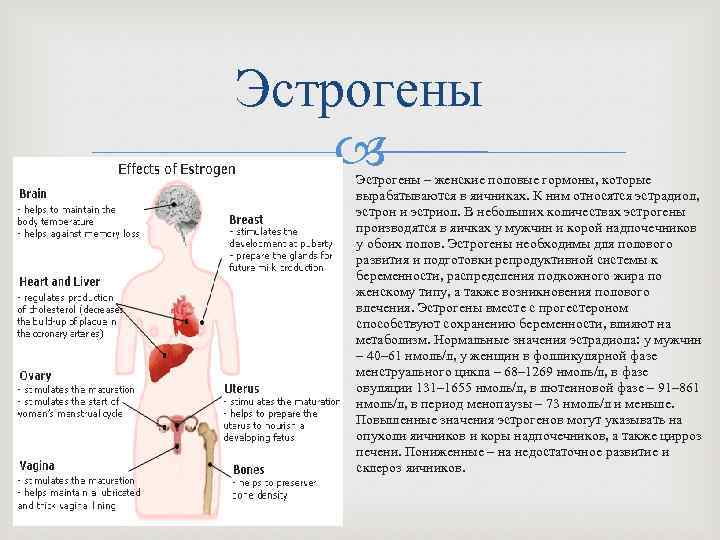 Эстрогены – женские половые гормоны, которые вырабатываются в яичниках. К ним относятся эстрадиол, эстрон