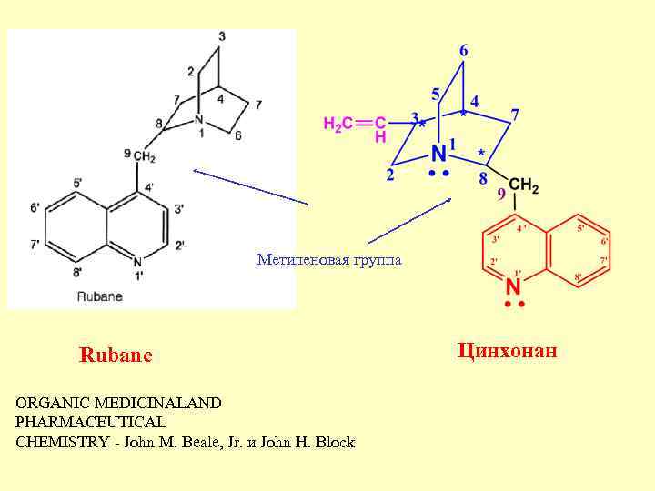 Метиленовая группа Rubane ORGANIC MEDICINALAND PHARMACEUTICAL CHEMISTRY John M. Beale, Jr. и John H.