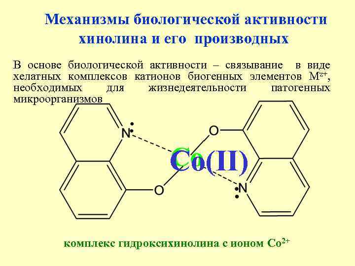 Механизмы биологической активности хинолина и его производных В основе биологической активности – связывание в