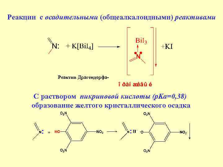 Реакции с осадительными (общеалкалоидными) реактивами Реактив Драгендорфа С раствором пикриновой кислоты (p. Ka=0, 38)