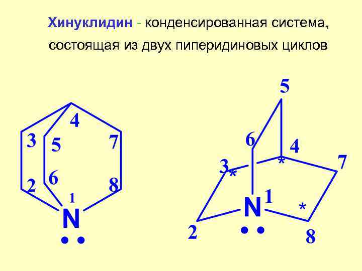 Хинуклидин - конденсированная система, состоящая из двух пиперидиновых циклов 