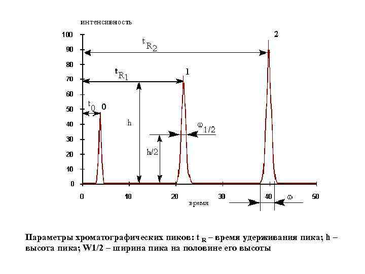 Параметры хроматографических пиков: t R – время удерживания пика; h – высота пика; W