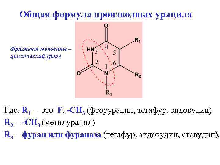 Общая формула производных урацила Фрагмент мочевины – циклический уреид Где, R 1 – это