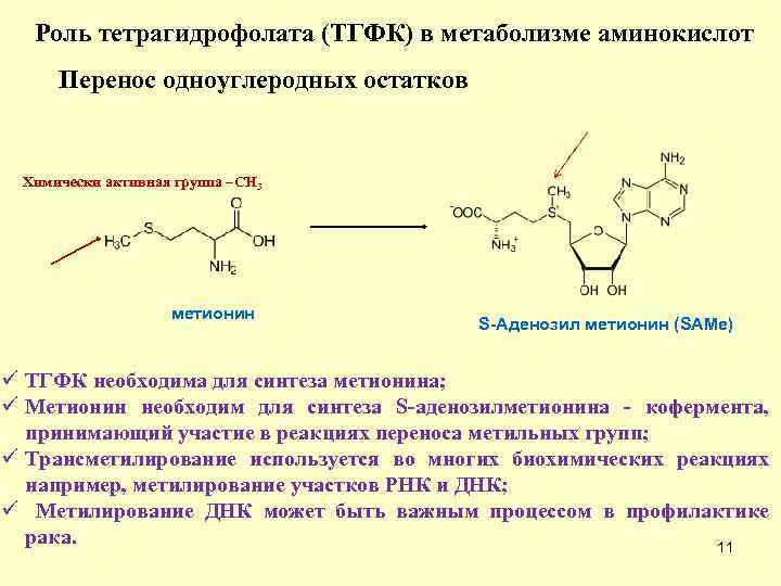 Синтез фолиевой кислоты. Роль ТГФК В метаболизме одноуглеродных групп. Тетрагидрофолиевая кислота Синтез. Схема метаболизма ароматических аминокислот. Реакции синтеза витамина в3.