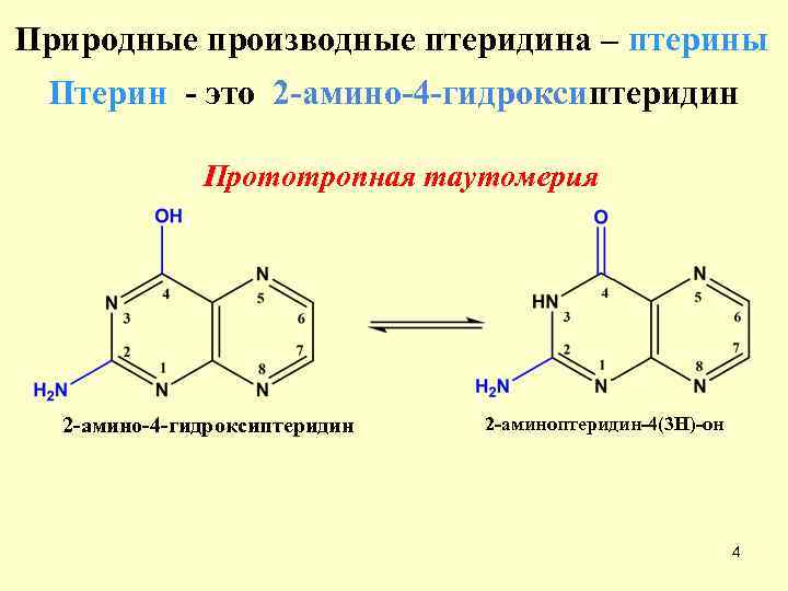 Птеридин