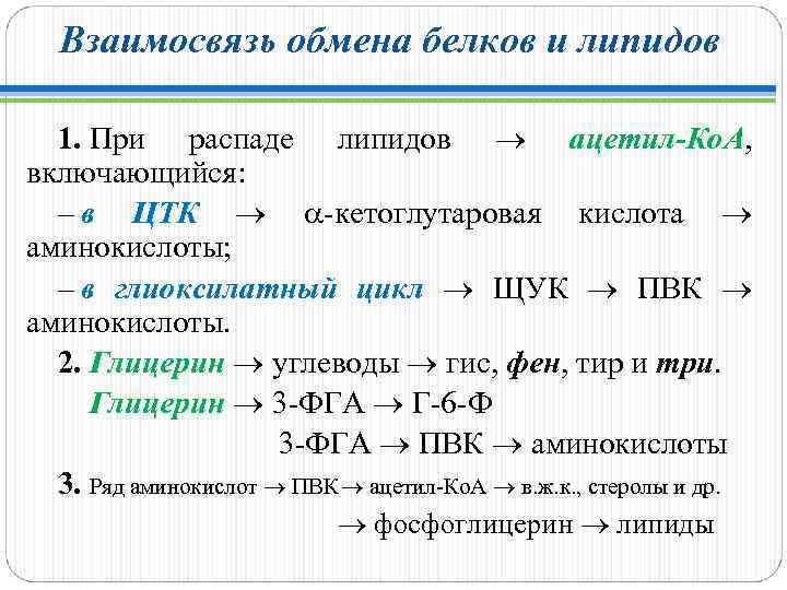 Взаимосвязь обмена белков и липидов 1. При распаде липидов ацетил-Ко. А, ацетил-Ко. А включающийся: