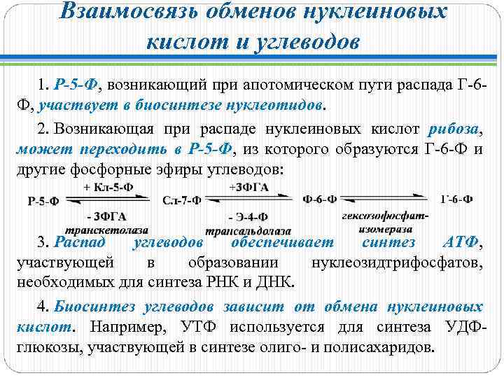 Взаимосвязь обменов. Взаимосвязь нуклеиновых кислот и углеводов. Апотомический распад углеводов. Взаимосвязь обмена нуклеиновых кислот и углеводов. Апотомисескиц распад углеводов.