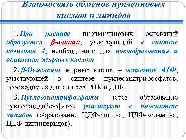 Взаимосвязь обменов нуклеиновых кислот и липидов 1. При распаде пиримидиновых оснований распаде образуется -аланин,
