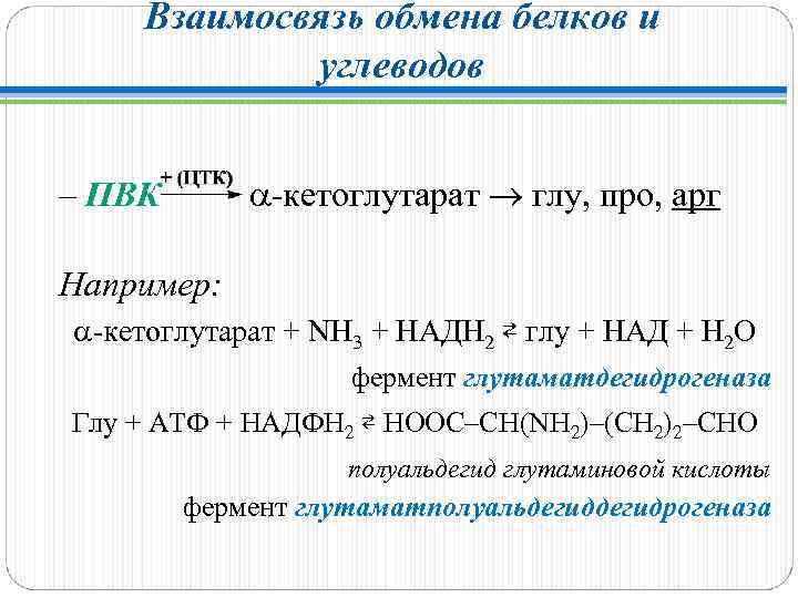 Взаимосвязь обмена белков и углеводов – ПВК -кетоглутарат глу, про, арг ПВК Например: -кетоглутарат