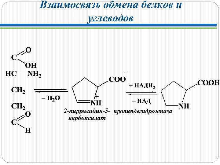 Взаимосвязь обменов