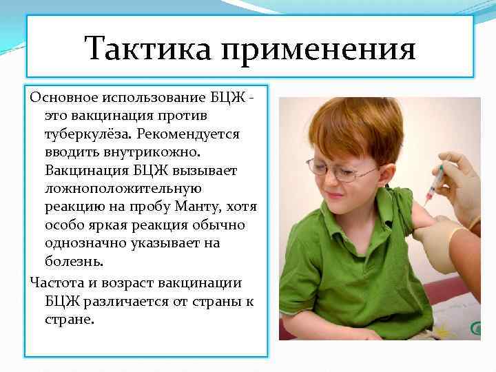 Тактика применения Основное использование БЦЖ это вакцинация против туберкулёза. Рекомендуется вводить внутрикожно. Вакцинация БЦЖ