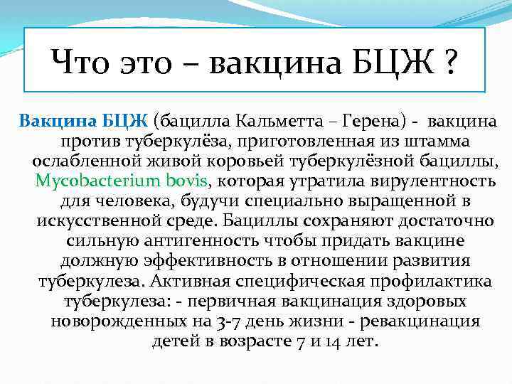 Что это – вакцина БЦЖ ? Вакцина БЦЖ (бацилла Кальметта – Герена) - вакцина