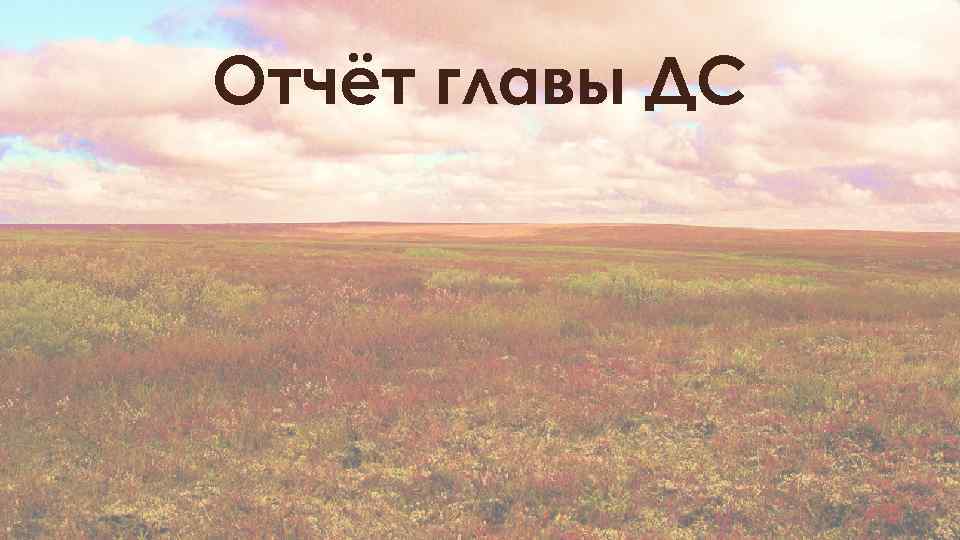 Отчёт главы ДС 