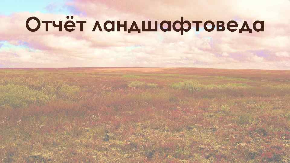 Отчёт ландшафтоведа 