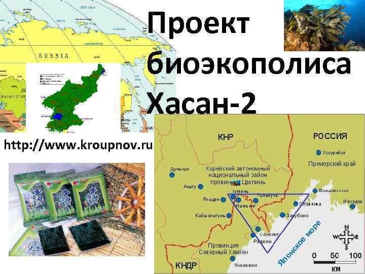 Проект биоэкополиса Хасан-2 http: //www. kroupnov. ru 