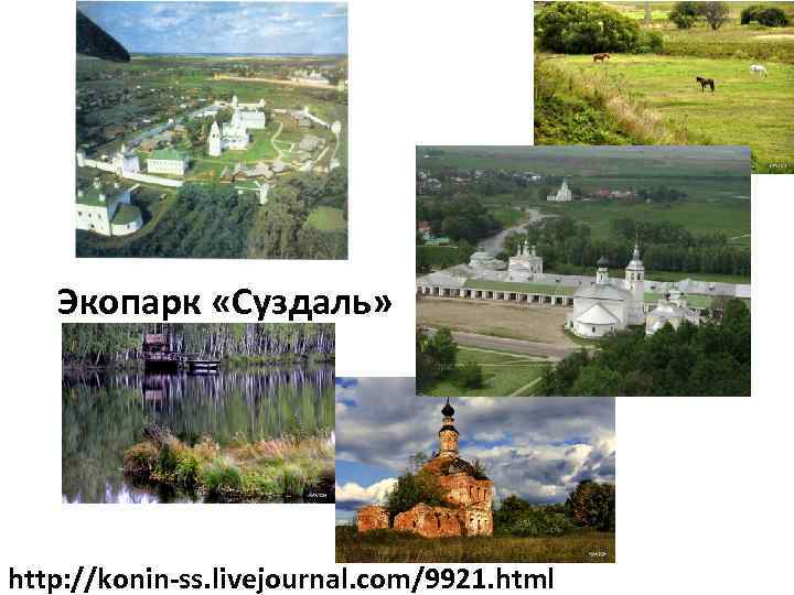 Экопарк «Суздаль» http: //konin-ss. livejournal. com/9921. html 