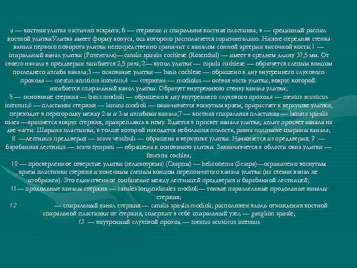 а — костная улитка частично вскрыта; б — стержень и спиральная костная пластинка; в