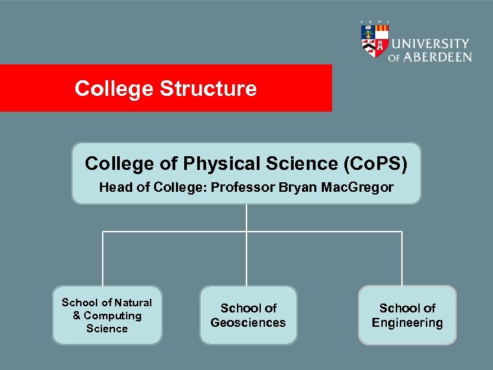 College Structure College of Physical Science (Co. PS) Head of College: Professor Bryan Mac.