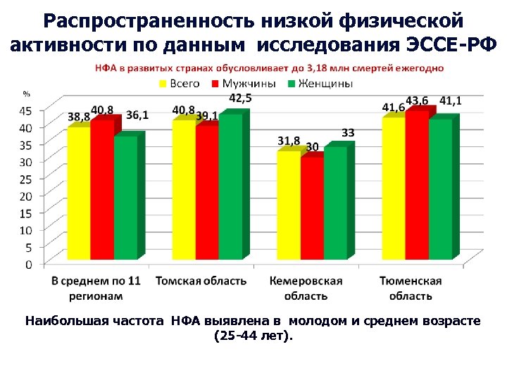 Распространенность низкой физической активности по данным исследования ЭССЕ-РФ Наибольшая частота НФА выявлена в молодом