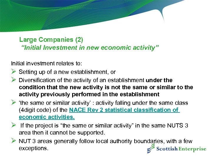 Large Companies (2) “Initial Investment in new economic activity” Initial investment relates to: Ø