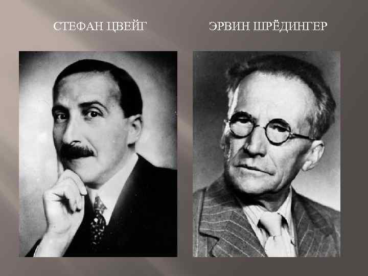 СТЕФАН ЦВЕЙГ ЭРВИН ШРЁДИНГЕР 