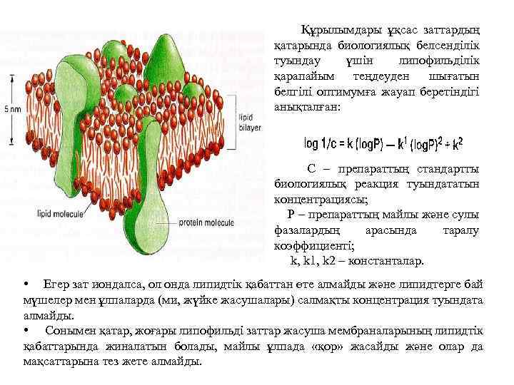 Құрылымдары ұқсас заттардың қатарында биологиялық белсенділік туындау үшін липофильділік қарапайым теңдеуден шығатын белгілі оптимумға
